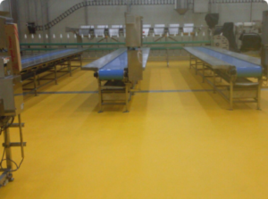 Hospitals & Healthcare: hospital rooms, operation theatres, corridors and more